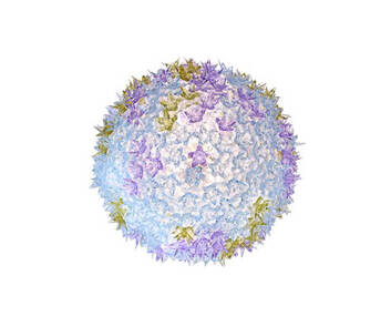 Bloom-Plafond-53-Lavender-02