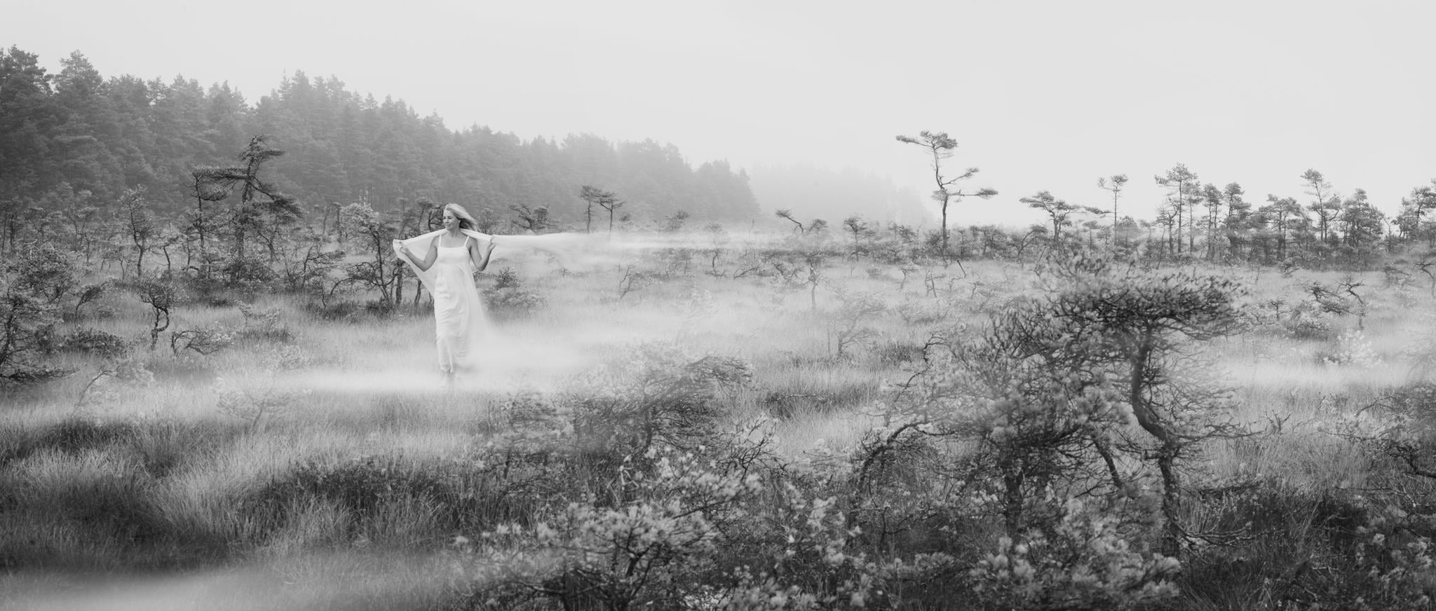 Varnamo-Brand-header-image-dark