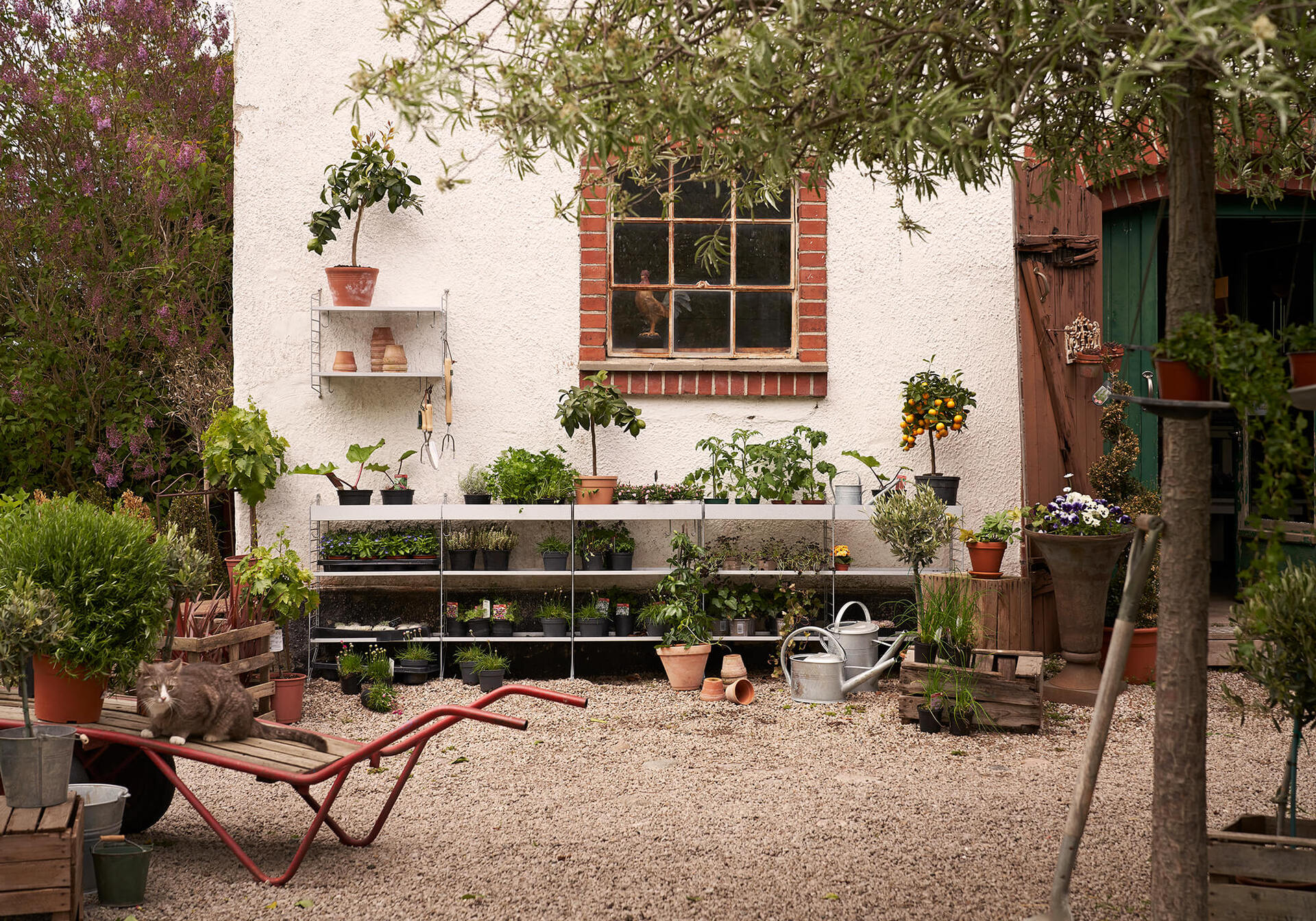 String-utomhus-inspiration-tibergs.jpg Havemiljø med blomster på String hyldesystem
