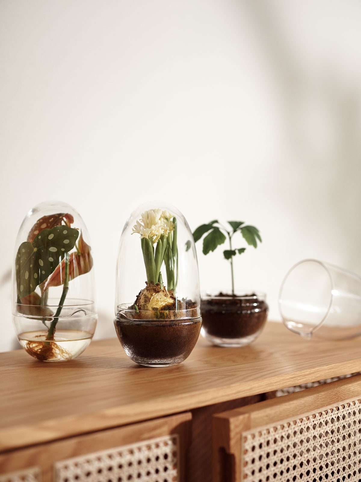 Grow-Greenhouse-Medium-Miljo