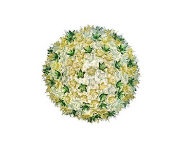 Bloom-Plafond-53-Mintgron-02