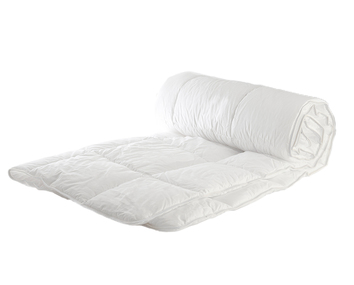 tacke_gullviva_medium