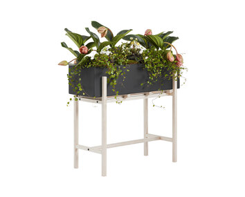 Botanic-Stand-Ash-Black