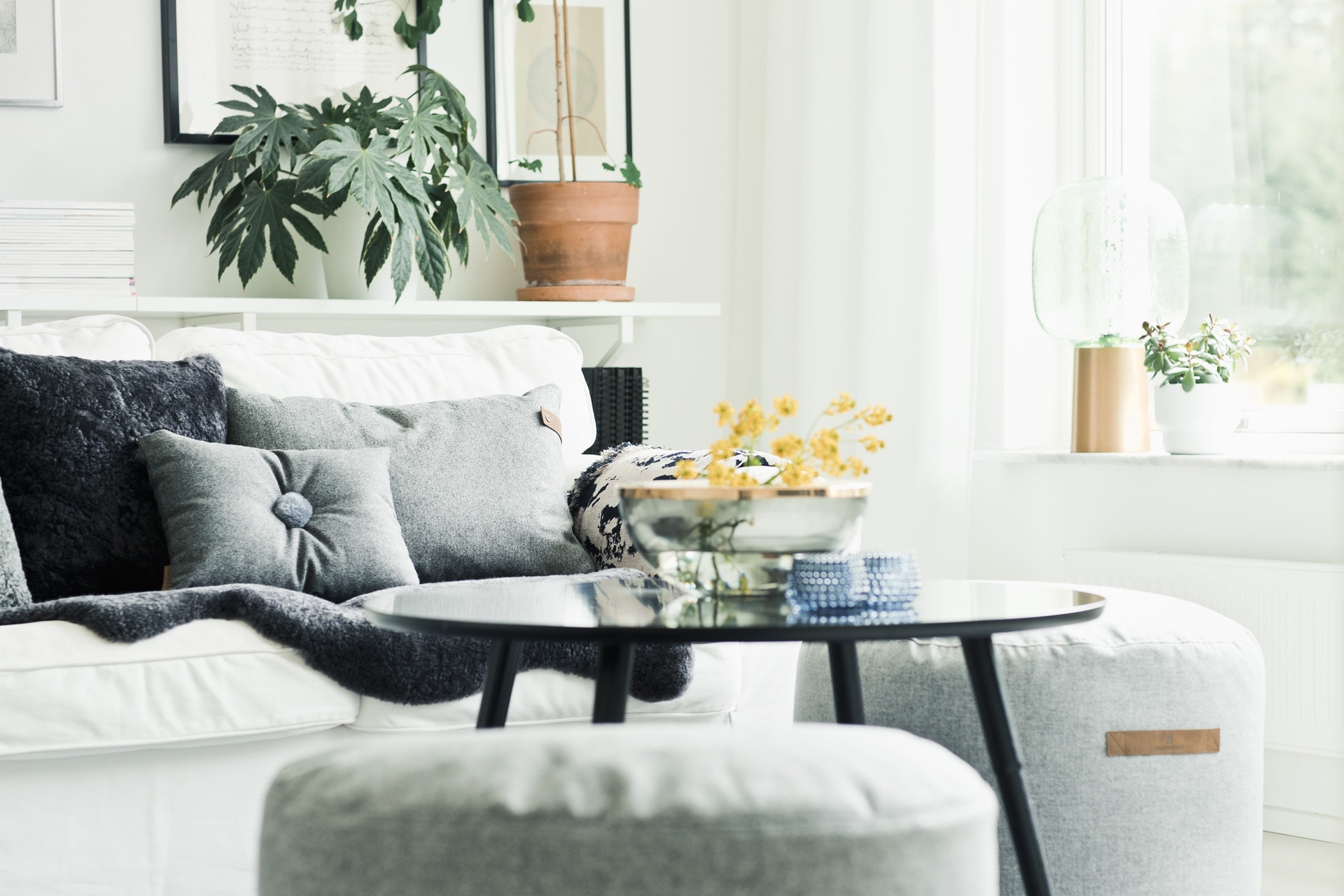 _05I9173.jpg _05I9173