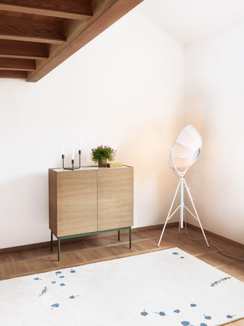 LUC-skap-100-P4-valnot-Green-Khaki-miljo-hall