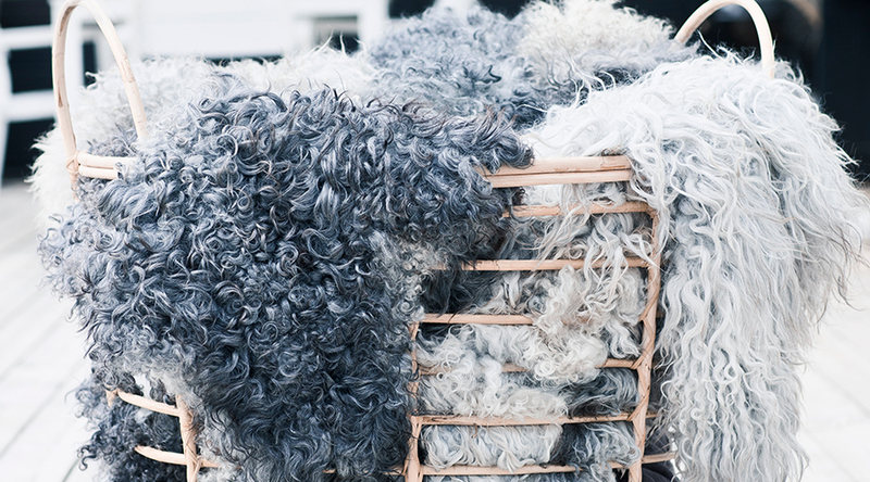 farskinn-skotselrad.jpg farskinn-skotselrad